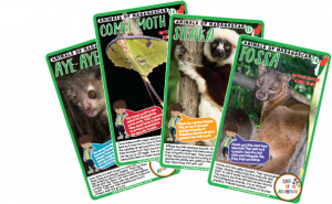 Madagascar Animal Cards, Countries for Kids, CASE OF ADVENTURE