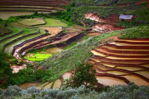 Terraced rice fields, Madagascar, Countries for Kids, CASE OF ADVENTURE