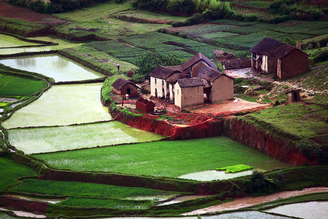 Terraced rice fields, Madagascar, Countries for Kids, CASE OF ADVENTURE