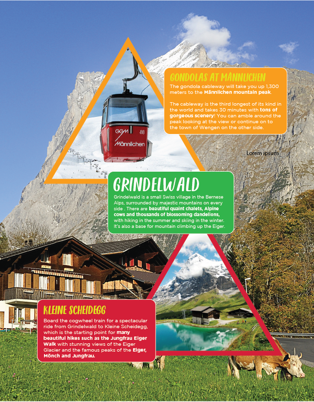 SWITZERLAND ADVENTURE: printed 60pg full-color activity book plus 169pg  novel - Case of Adventure