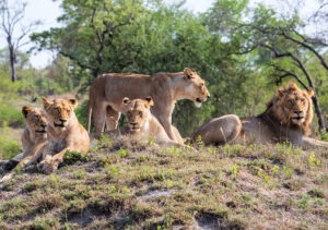 Case of Adventure .com