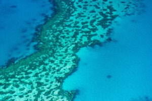 Case of Adventure .com