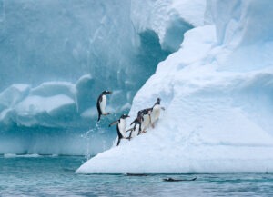 Case of Adventure .com